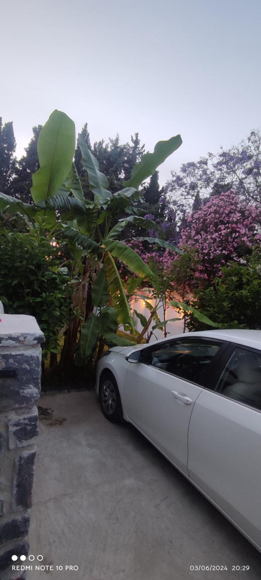 Villamuz * Yalıkavak